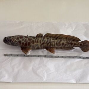 Very rare fishing decoy